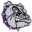 Head of an angry bulldog wearing a purple collar with spikes
