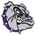 Head of an angry bulldog wearing a purple collar with spikes